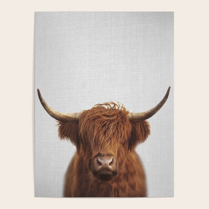 Highland Cow - Colorful Poster Gallery Image 1