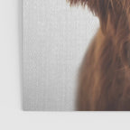 Highland Cow - Colorful Poster Gallery Image 3