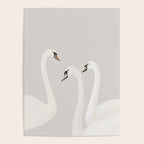White Swans Poster Gallery Image 4