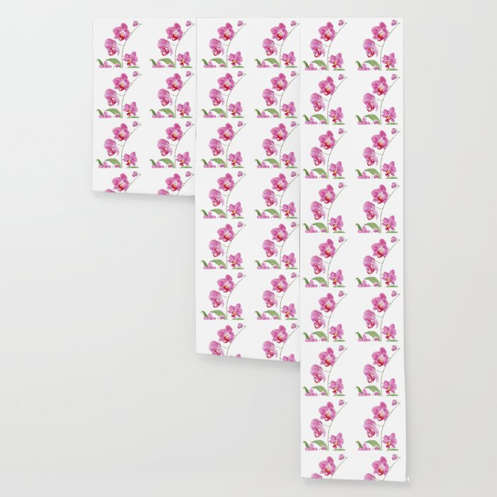 Orchid Wallpaper Gallery Image 3
