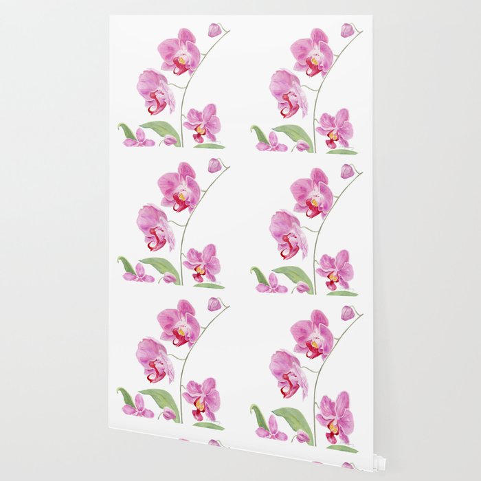 Orchid Wallpaper Gallery Image 2
