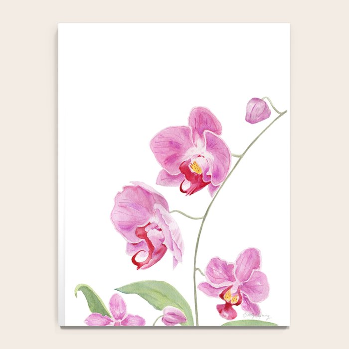 Orchid Notebook Gallery Image 4