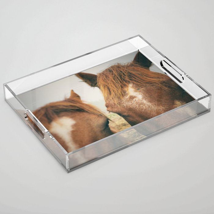 Side By Side  horse portrait photograph Acrylic Tray Gallery Image 1