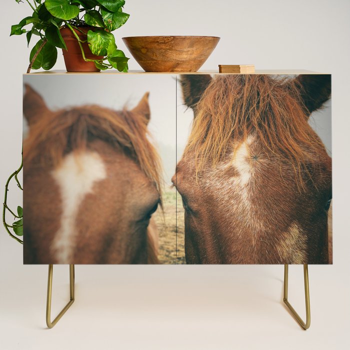 Side By Side  horse portrait photograph Credenza Gallery Image 1