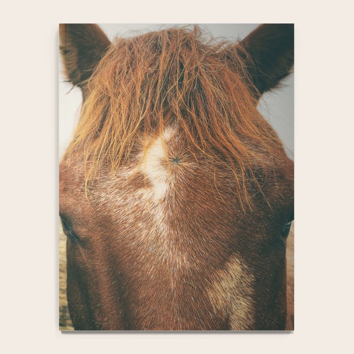 Side By Side  horse portrait photograph Notebook Gallery Image 4
