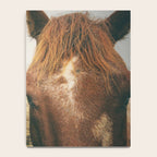 Side By Side  horse portrait photograph Notebook Gallery Image 4