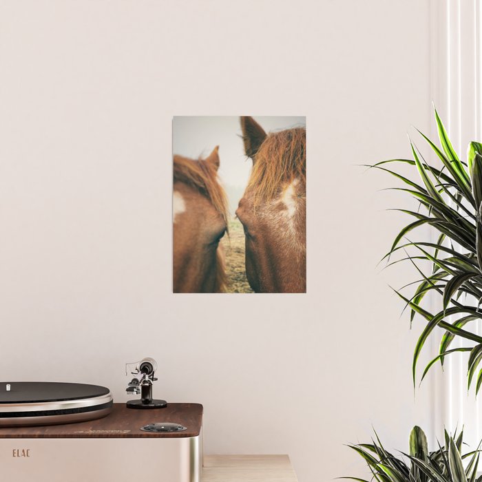 Side By Side  horse portrait photograph Poster Gallery Image 2