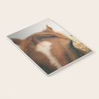 Side By Side  horse portrait photograph Notebook Gallery Image 3