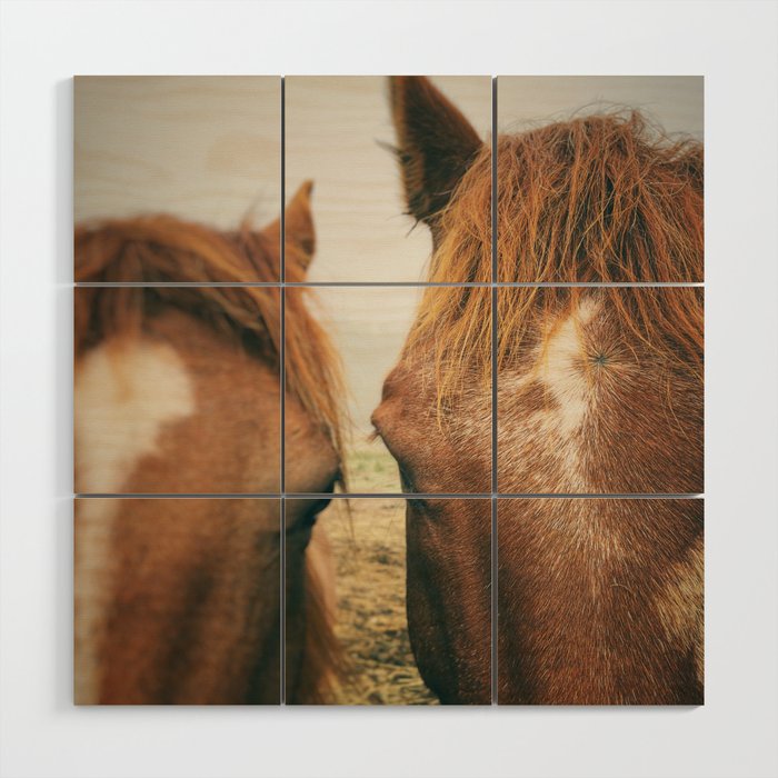 Side By Side  horse portrait photograph Wood Wall Art Gallery Image 1