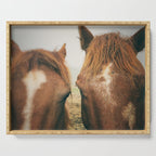 Side By Side  horse portrait photograph Serving Tray Gallery Image 1