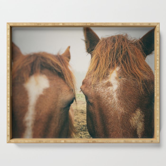 Side By Side  horse portrait photograph Serving Tray Gallery Image 1
