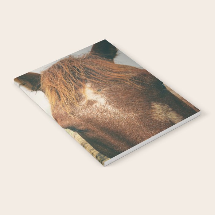 Side By Side  horse portrait photograph Notebook Gallery Image 2
