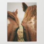 Side By Side  horse portrait photograph Poster Gallery Image 4