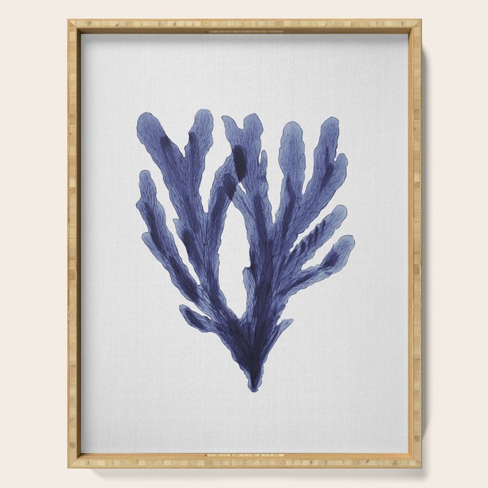 Seaweed 6 Serving Tray Gallery Image 1
