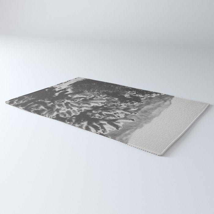Cholla Cactus Garden (Black + White) Rug Gallery Image 3
