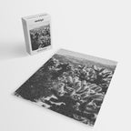 Cholla Cactus Garden (Black + White) Jigsaw Puzzle Gallery Image 2