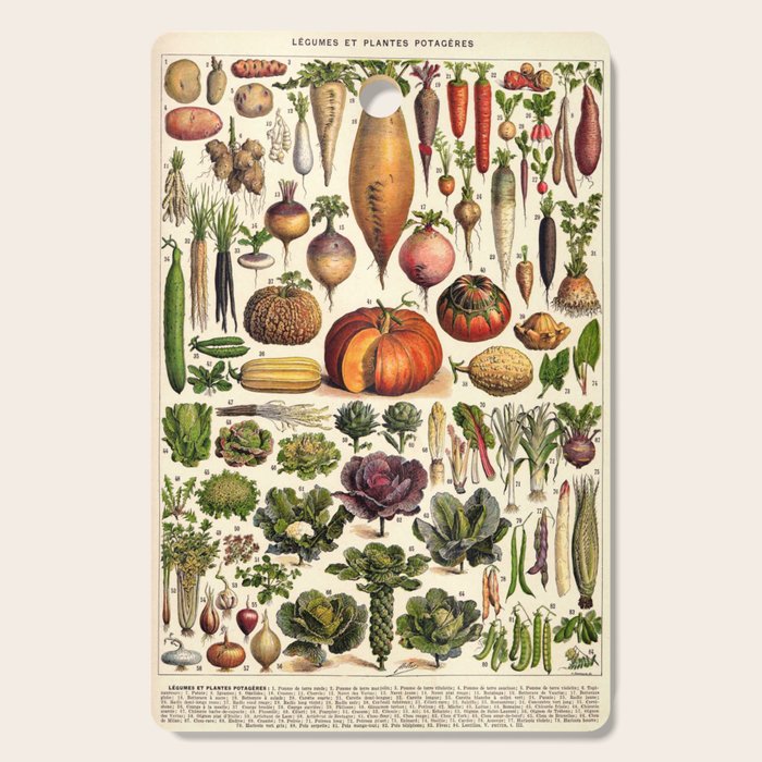 Adolphe Millot Legumes Plant Potageres Vintage Scientific Encyclopedia Illustration Lithograph  Cutting Board Gallery Image 1