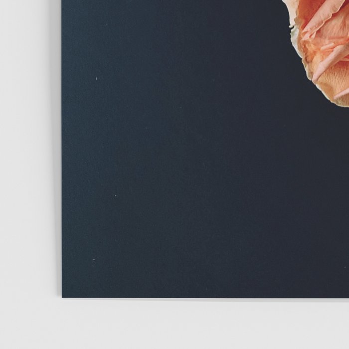 Moody Orange Beets and Rose Poster Gallery Image 3