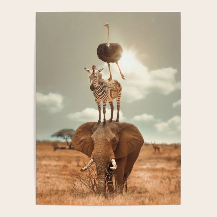 African Friends Poster Gallery Image 4