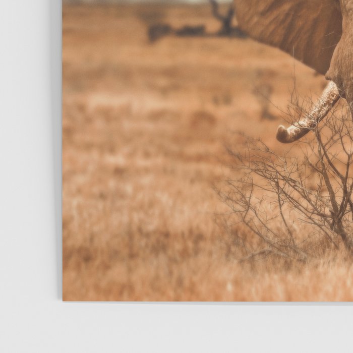 African Friends Poster Gallery Image 3