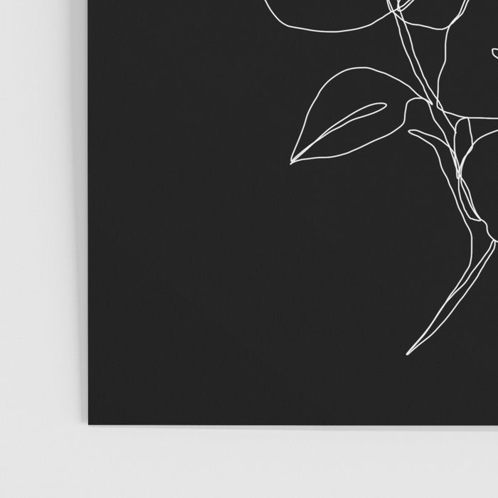 Botanical illustration one line drawing - Rose Black Poster Gallery Image 3