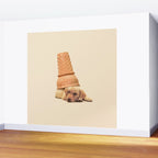 Underdog - Ice Cream Wall Mural Gallery Image 2