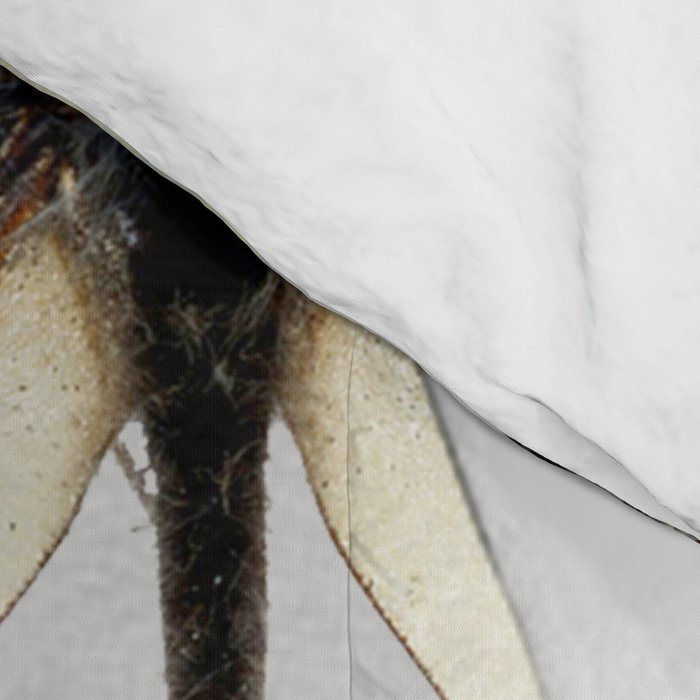 collage art / butterfly 2 Comforter Gallery Image 4