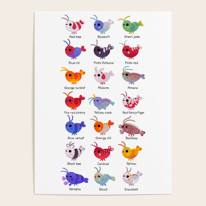 Freshwater shrimp - name Poster Gallery Image 1