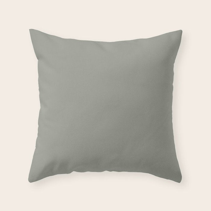 Evergreen Fog Green solid Throw Pillow Gallery Image 1