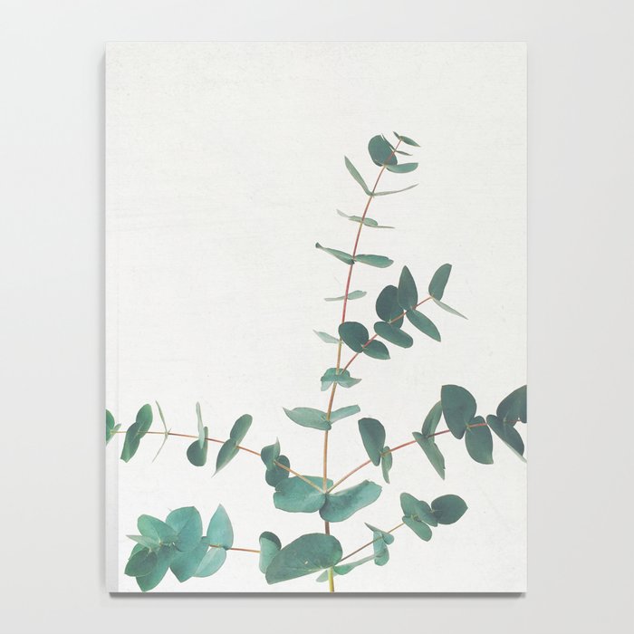 Eucalyptus Notebook Gallery Image 4