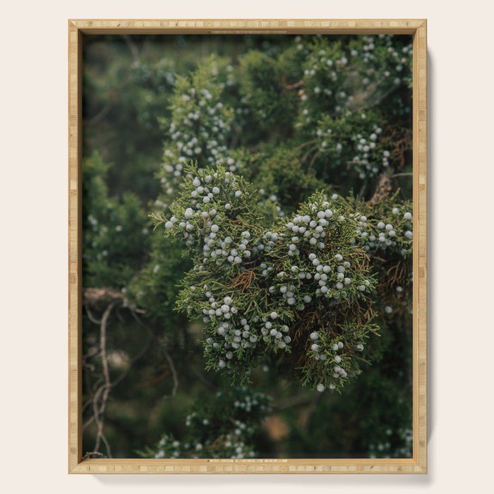 Juniper Serving Tray Gallery Image 1