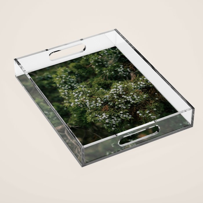 Juniper Acrylic Tray Gallery Image 1