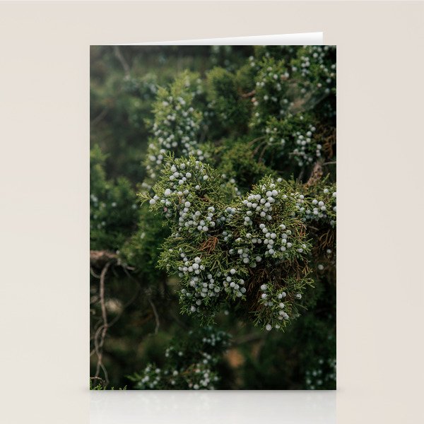 Juniper Stationery Card Gallery Image 1