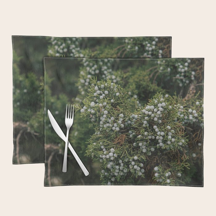Juniper Placemat Gallery Image 1