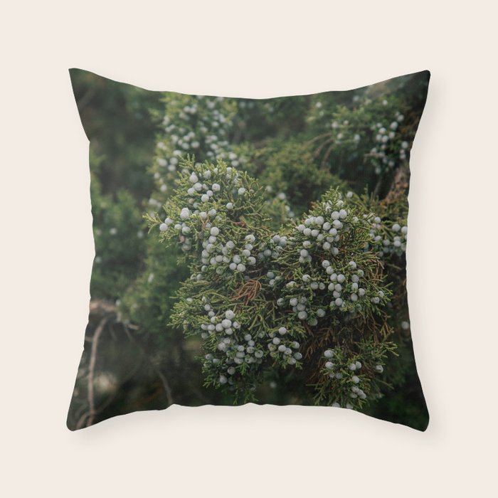 Juniper Throw Pillow Gallery Image 1
