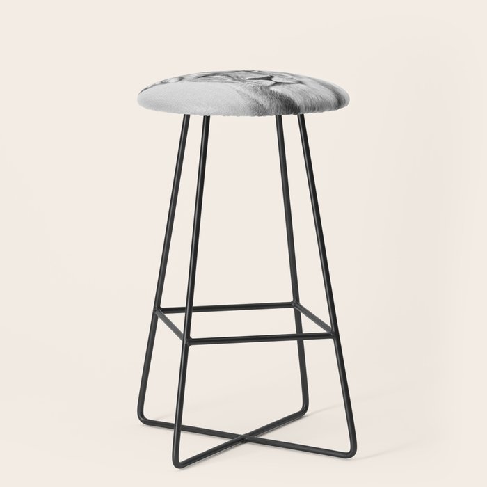 Lioness - Black & White Stool Gallery Image 1