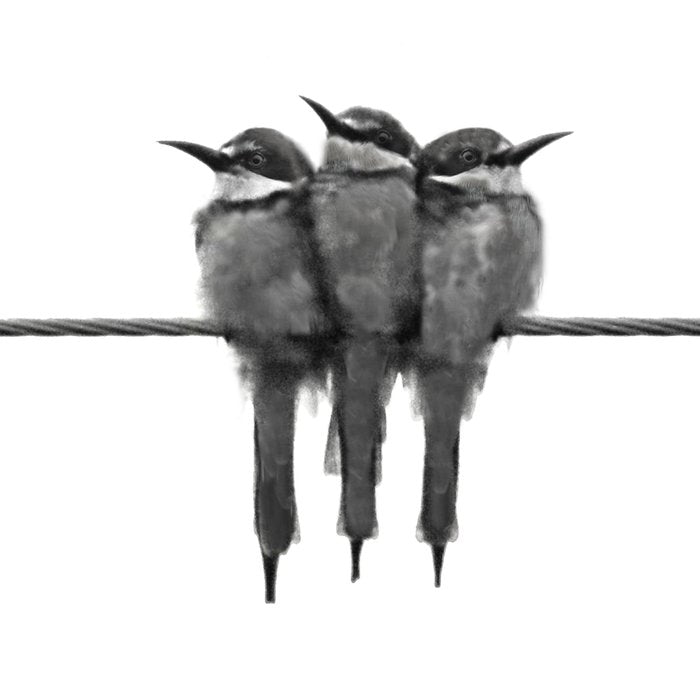 Birds Coffee Mug Gallery Image 2