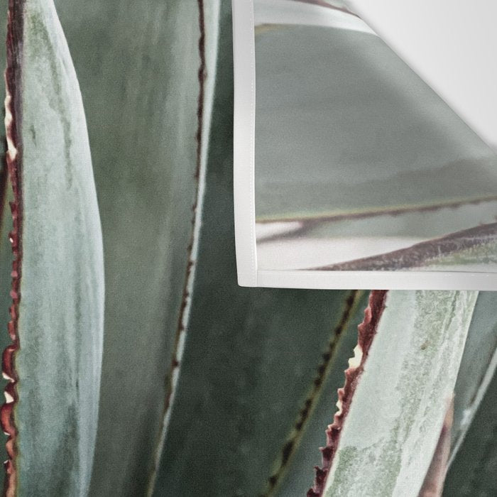 Cactus Leaves // Green Southwest Home Decor Vibes Desert Hombre Plant Photograph Wall Tapestry Gallery Image 3