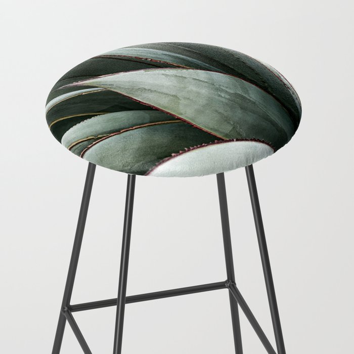 Cactus Leaves // Green Southwest Home Decor Vibes Desert Hombre Plant Photograph Stool Gallery Image 2