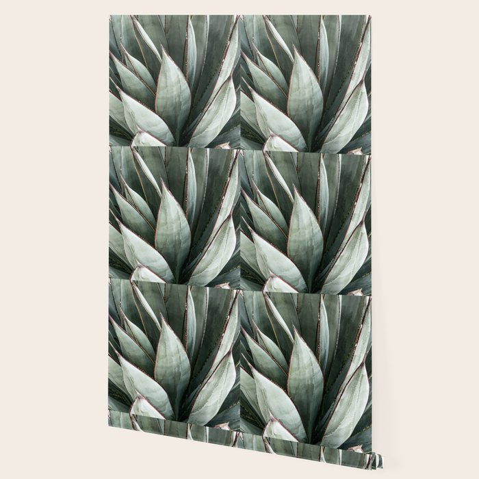 Cactus Leaves // Green Southwest Home Decor Vibes Desert Hombre Plant Photograph Wallpaper Gallery Image 2