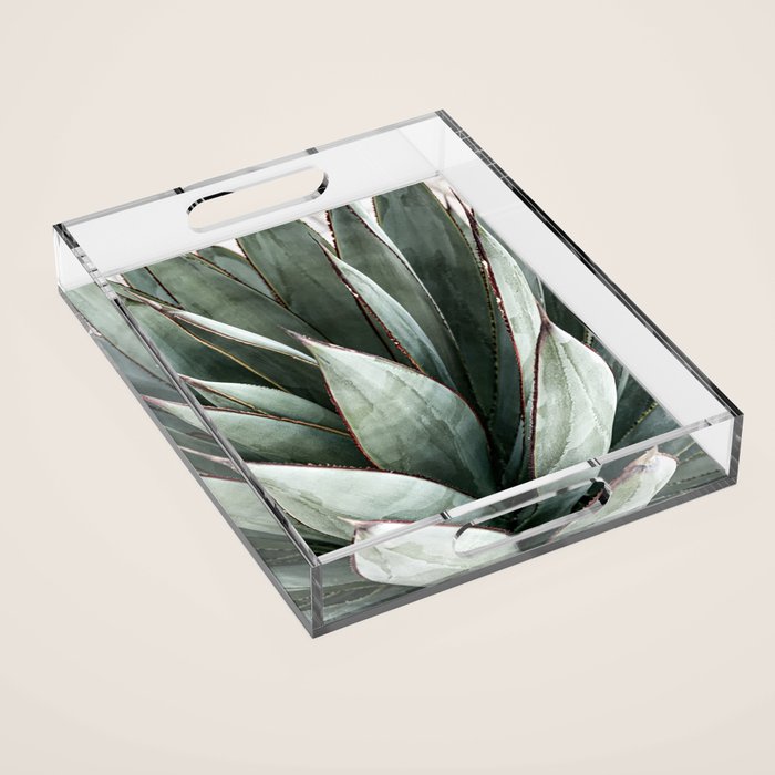 Cactus Leaves // Green Southwest Home Decor Vibes Desert Hombre Plant Photograph Acrylic Tray Gallery Image 1