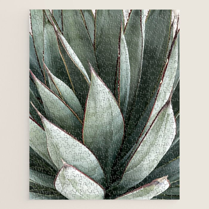 Cactus Leaves // Green Southwest Home Decor Vibes Desert Hombre Plant Photograph Jigsaw Puzzle Gallery Image 1