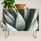 Cactus Leaves // Green Southwest Home Decor Vibes Desert Hombre Plant Photograph Credenza Gallery Image 1