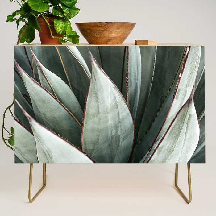 Cactus Leaves // Green Southwest Home Decor Vibes Desert Hombre Plant Photograph Credenza Gallery Image 1