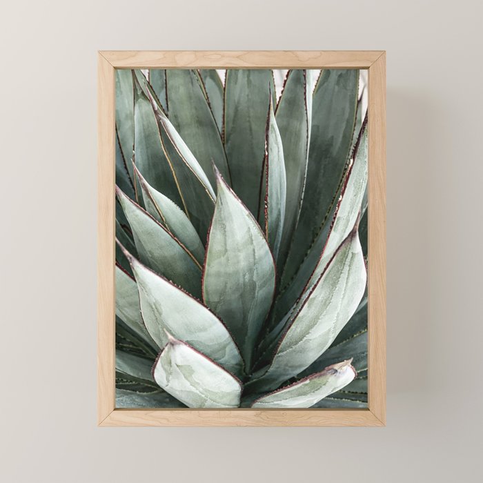 Cactus Leaves // Green Southwest Home Decor Vibes Desert Hombre Plant Photograph Mini Art Print Gallery Image 1