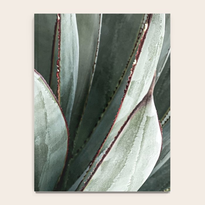 Cactus Leaves // Green Southwest Home Decor Vibes Desert Hombre Plant Photograph Notebook Gallery Image 4