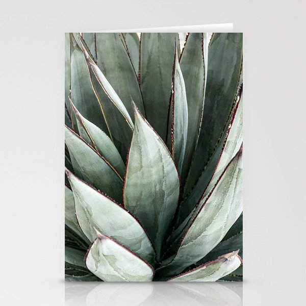 Cactus Leaves // Green Southwest Home Decor Vibes Desert Hombre Plant Photograph Stationery Card Gallery Image 1