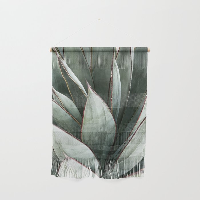 Cactus Leaves // Green Southwest Home Decor Vibes Desert Hombre Plant Photograph Wall Hanging Gallery Image 1