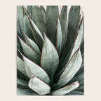 Cactus Leaves // Green Southwest Home Decor Vibes Desert Hombre Plant Photograph Poster Gallery Image 4