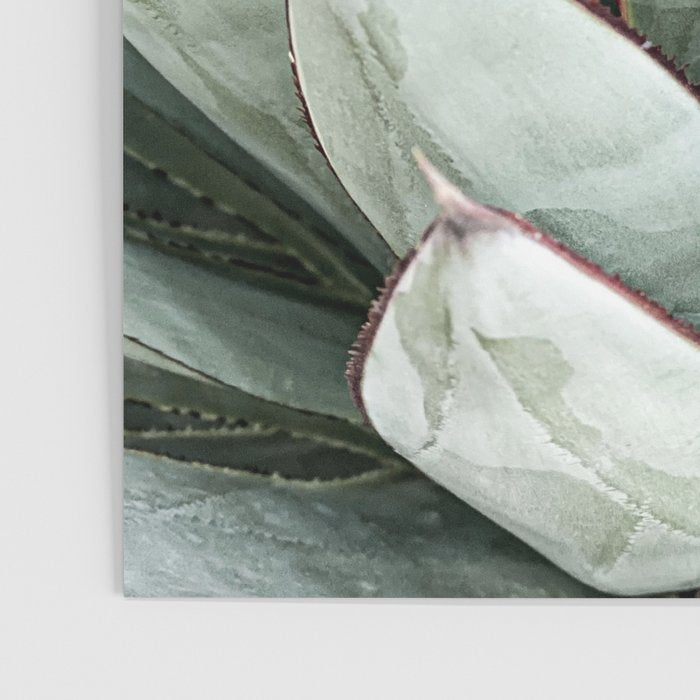 Cactus Leaves // Green Southwest Home Decor Vibes Desert Hombre Plant Photograph Poster Gallery Image 3